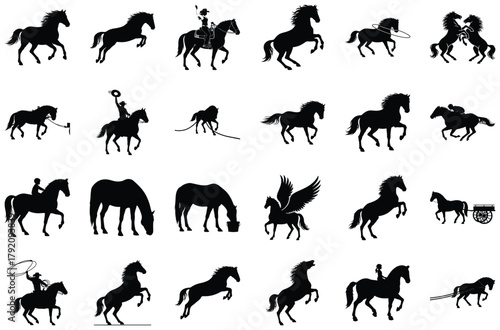 Collection of Horse Silhouettes in Various Poses and Activities Keywords: horse, silhouette