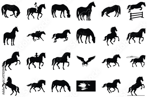 Collection of Horse Silhouettes in Various Poses and Activities
