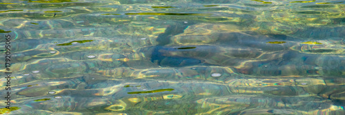 Konstfotografi Rippling emerald waters dance under sunlight, evoking reflections of Midsummer's