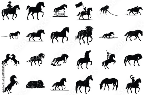 Diverse Horse Silhouettes and Equestrian Scenes rider