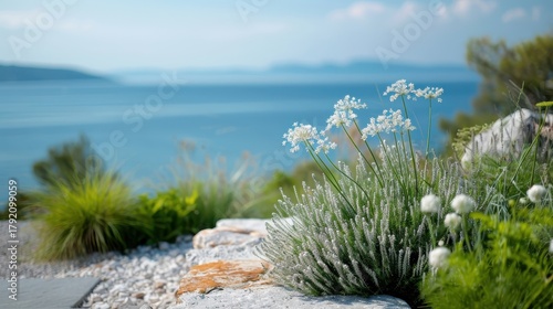 Coastal garden with thriving dill plants and serene sea view.