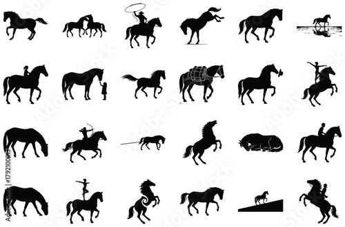 Varied Horse Silhouettes with Riders and Natural Settings Keywords: horse, silhouette, animal