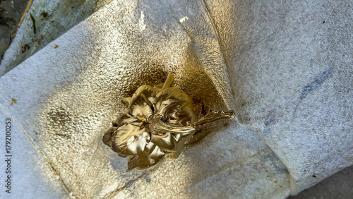 Photos Golden thistle cradled in textured silver paper whispers of metal leaf artistry