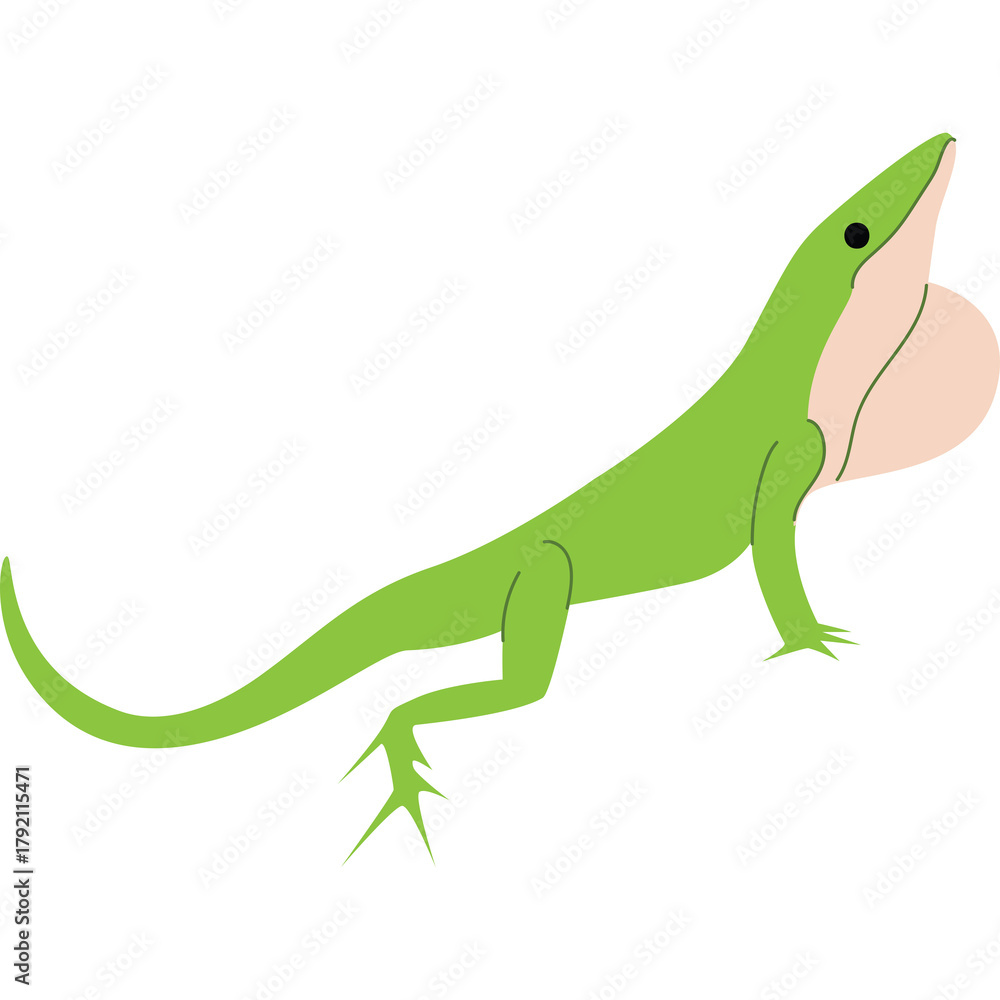 Naklejka premium Green Anole Lizard Displaying Pink Dewlap On Transparent Background