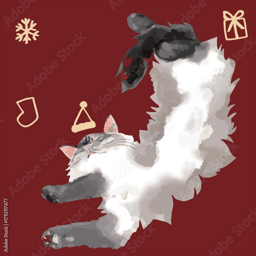 Fluffy Cat Days – Gray Siberian Cat