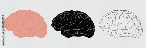 Human brain vector, symbol. Human brain icon vector. Mind sign, thinking, idea icon. Human brain design for logo, medical science, app, UI, UX. Vector illustration.