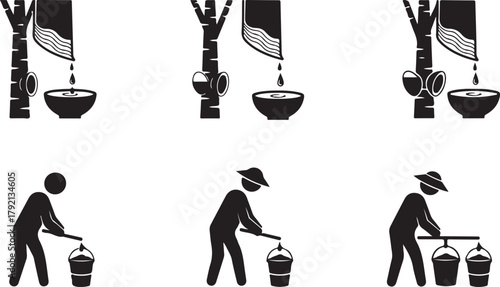 Rubber Tapping Process: From Tree to Collection Icons