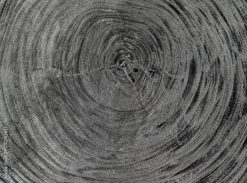 Cernes de bois brûlé 