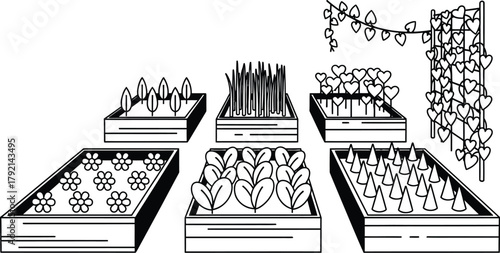 Vibrant raised garden beds bursting with diverse plants and flowers