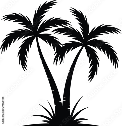 Tropical palm tree silhouette on a beach at sunset