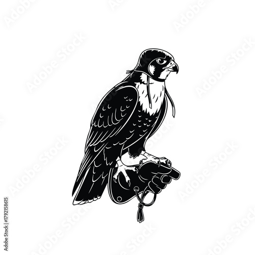 Falcon with hood perched on hand silhouette isolated on white background for falconry activity