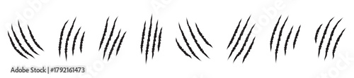 Animals claw scratches icons set, Claw scratch icon set. Animal scratches. Claws silhouette, vector illustration