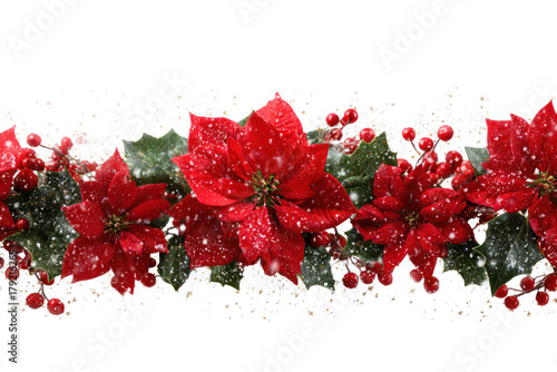 Red poinsettia flowers with snow isolated on white background for christmas