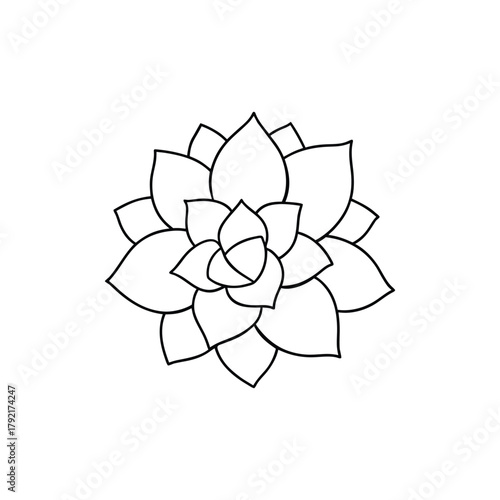 Succulent Plant Line Art Drawing, Minimalist Echeveria Vector Illustration