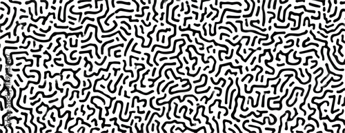 Patrón abstracto de líneas orgánicas en blanco y negro, diseño de vector de ruido