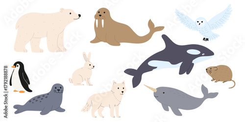 Various Arctic and marine animals seen in a colorful illustration showcasing their unique features and environments
