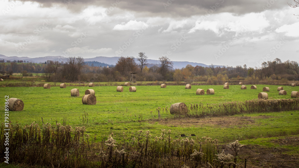 Fototapeta premium Hay Bales Scattered Across a Green Field Under Cloudy Autumn Sky