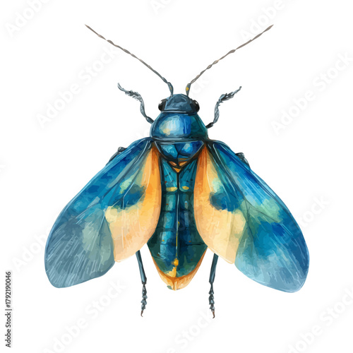 Watercolor Firefly vector, artistic painting style, high-resolution illustration on a pure white background.