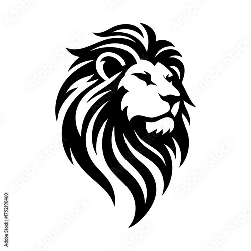 lion head mascot