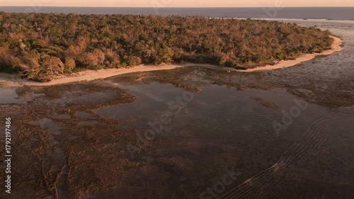 Aerial perspective reveals a stunning coastline with rich greenery and calm waters, highlighting the peaceful beach environment, camera smoothly zooms in for detail