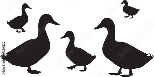 Silhouette of Five Ducks in Various Poses on a White Background
