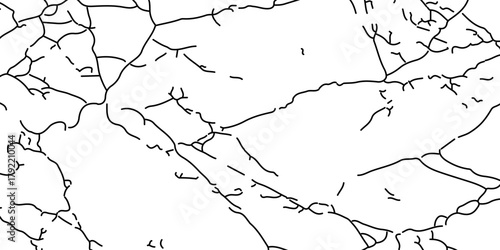 Vector the cracks concrete wall texture white and black. Grungy, grunge effect, grunge texture, dry land crack effect,	Abstract grunge black and white distressed texture background.