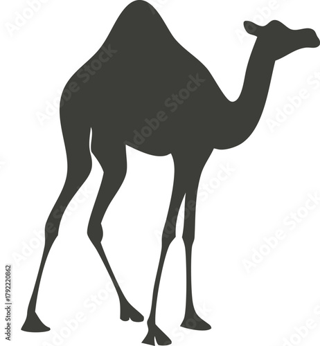 Silhouette of a dromedary camel standing against a white background