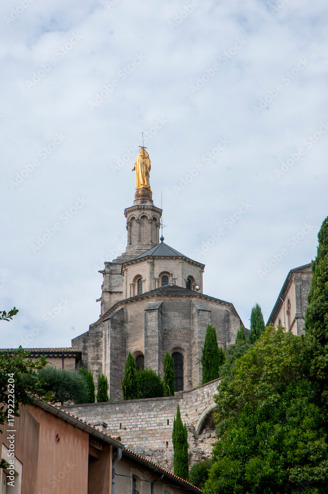 Naklejka premium Citta' di Avignone, il suo fiume e i i suoi monumenti
