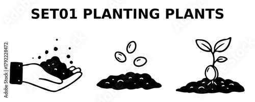 Hand planting seeds in soil and growing plants in stages  