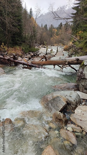 Wallpaper Mural river in the forest Torontodigital.ca