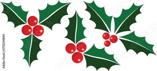 Holly berry icons set, Christmas logo with holly berries
