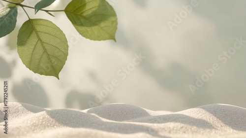 Universal Nature Background for Websites Soft Green Leaf on Sandy Backdrop