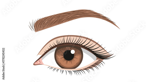 A detailed illustration of a brown human eye and eyebrow