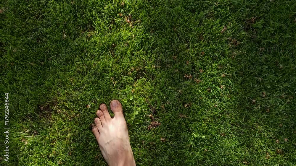 Bare Caucasian feet walking green lawn grass at sunny summer morning, directly above view with slow motion.