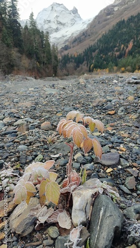 Wallpaper Mural autumn in the mountains Torontodigital.ca