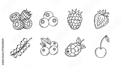 Collection of hand drawn berry silhouettes including raspberries blueberries strawberries and cherries silhouette