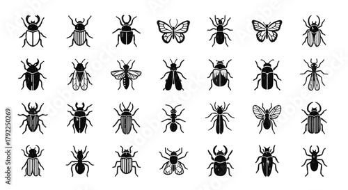 Bugs and Insects Vector Illustration: Diverse Collection of Beetles, Butterflies, Ants and More for Graphic Design and Science Projects