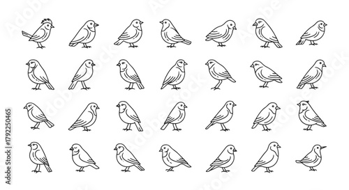 Set of Small Bird Illustrations, Minimalist Line Art Vector Icons. Cute Sparrow Graphic Designs for Decoration, Isolated Bird Symbol Collection