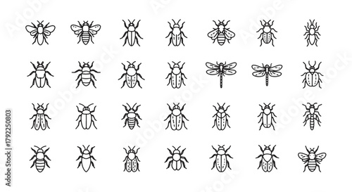 Set of insects, simple outline vector illustration for graphic design, isolated on white background, bug or beetle concept, entomology collection, minimal style icon