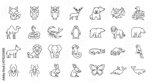 Set of animal illustrations: wildlife, pets, mammals, birds, insects and marine life in linear style vector drawing collection