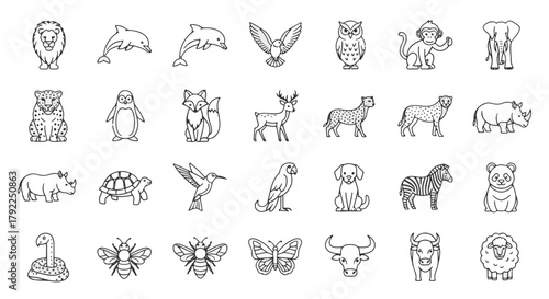 Animal illustration vector set, lion, dolphin, eagle, elephant, fox, deer, zebra, panda, bee vector icons outline style, wildlife, cartoon