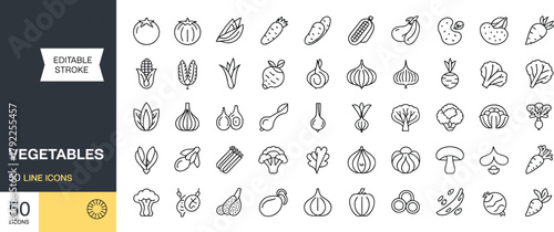 Cuadro en lienzo Minimal line icons representing assorted vegetables, editable stroke, healthy fo