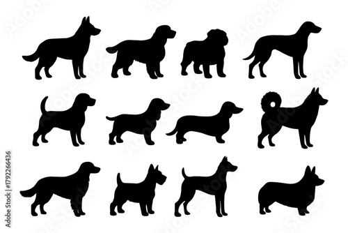 Silhouette diversity of dog breeds in various poses and sizes.