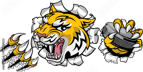 A wildcat or bobcat lynx bobcats wildcats sports team ice hockey mascot