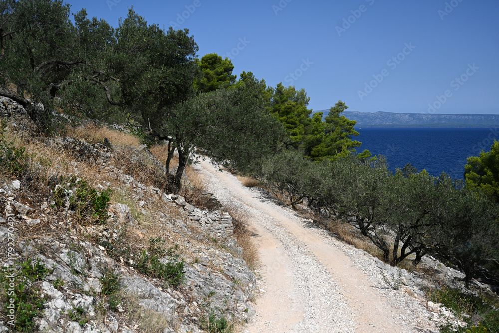 Fototapeta premium Road on a Mediterranean island. Road on the Adriatic island of Korcula in Croatia