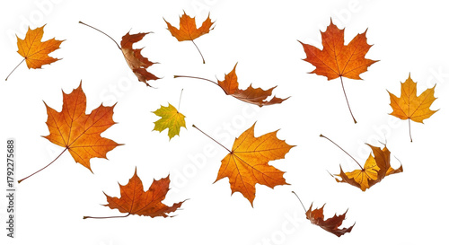 A collection of vibrant autumn leaves, showcasing a variety of colors from yellow to orange and red, seemingly caught in mid-air, creating a dynamic and seasonal display.