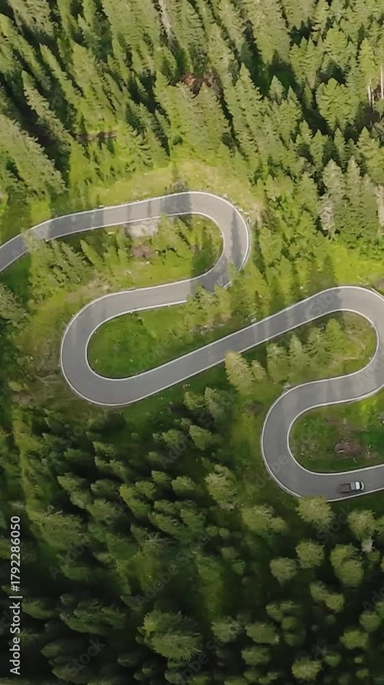 dolomites lush forest winding path scene, sundrenched woodland route with twists and turns, high vantage point capturing serpentine roadway weaving through illuminated woodland with lively