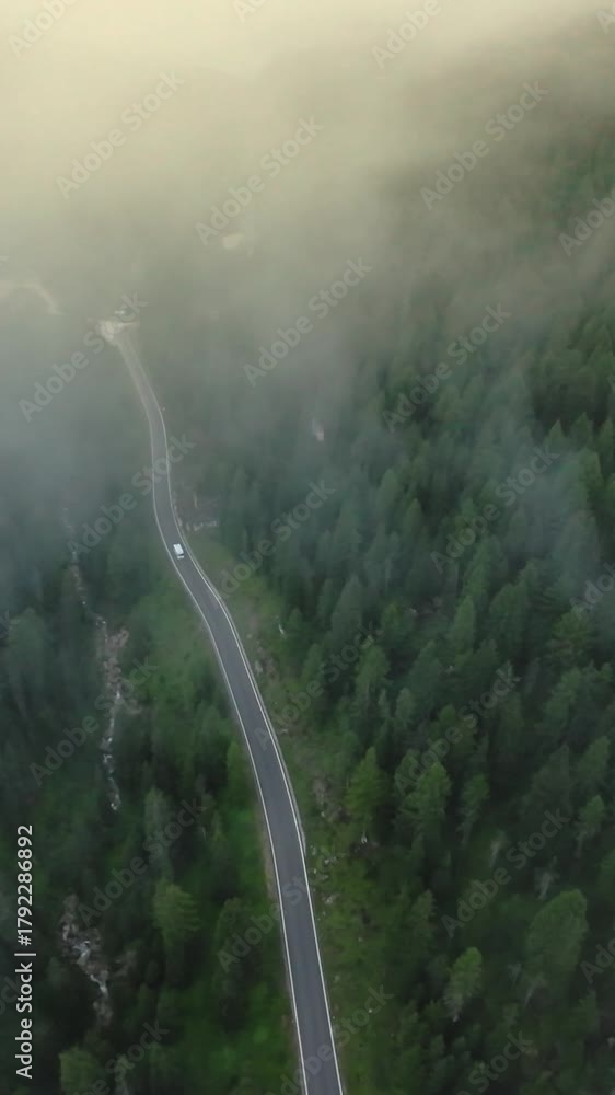 dolomites morning mist over lush woods, dawn traversal through vibrant greenery and hazy forest roads at sunrise, early morning expedition across mistcovered forest and lively green trees