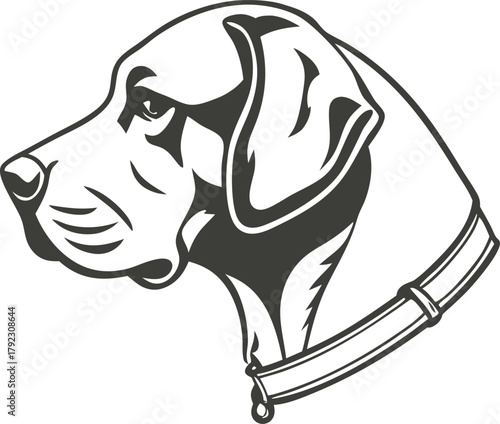 Profile of a dog's head wearing a collar