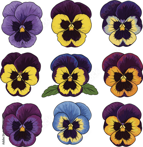 Isolated a kinds of deferent Hand drawn pansy flowers vector art with white background..